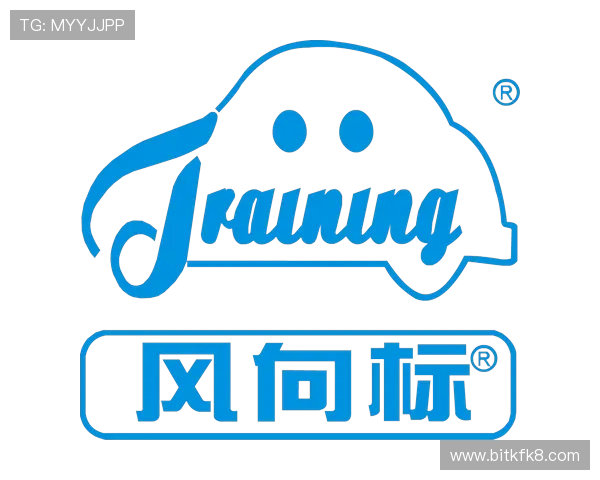 凯发地址官网入口快速登录方法，确保每位用户都能顺利进入平台